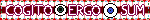 COGITO ERGO SUM 3